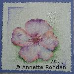 Annette Rondan peintre connue pour ses Aquarellesreconnue pour ses Fleurs