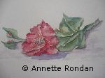 Annette Rondan a aussi crée Amour de coquelicots (Galerie Peintures - Aquarelles - Fleurs) dans Galerie Peintures - Aquarelles - Fleurs