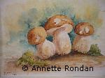 Annette Rondan peintre artiste français de Aquarellescélèbre pour ses Natures mortes