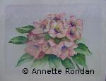 Annette Rondan peintre reconnue pour ses Aquarellesspécialisée en Fleurs