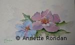 Annette Rondan a aussi crée Coquelistates (Galerie Peintures - Aquarelles - Fleurs) dans Galerie Peintures - Aquarelles - Fleurs