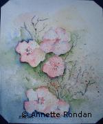 Annette Rondan peintre connue pour ses Aquarellesreconnue pour ses Fleurs